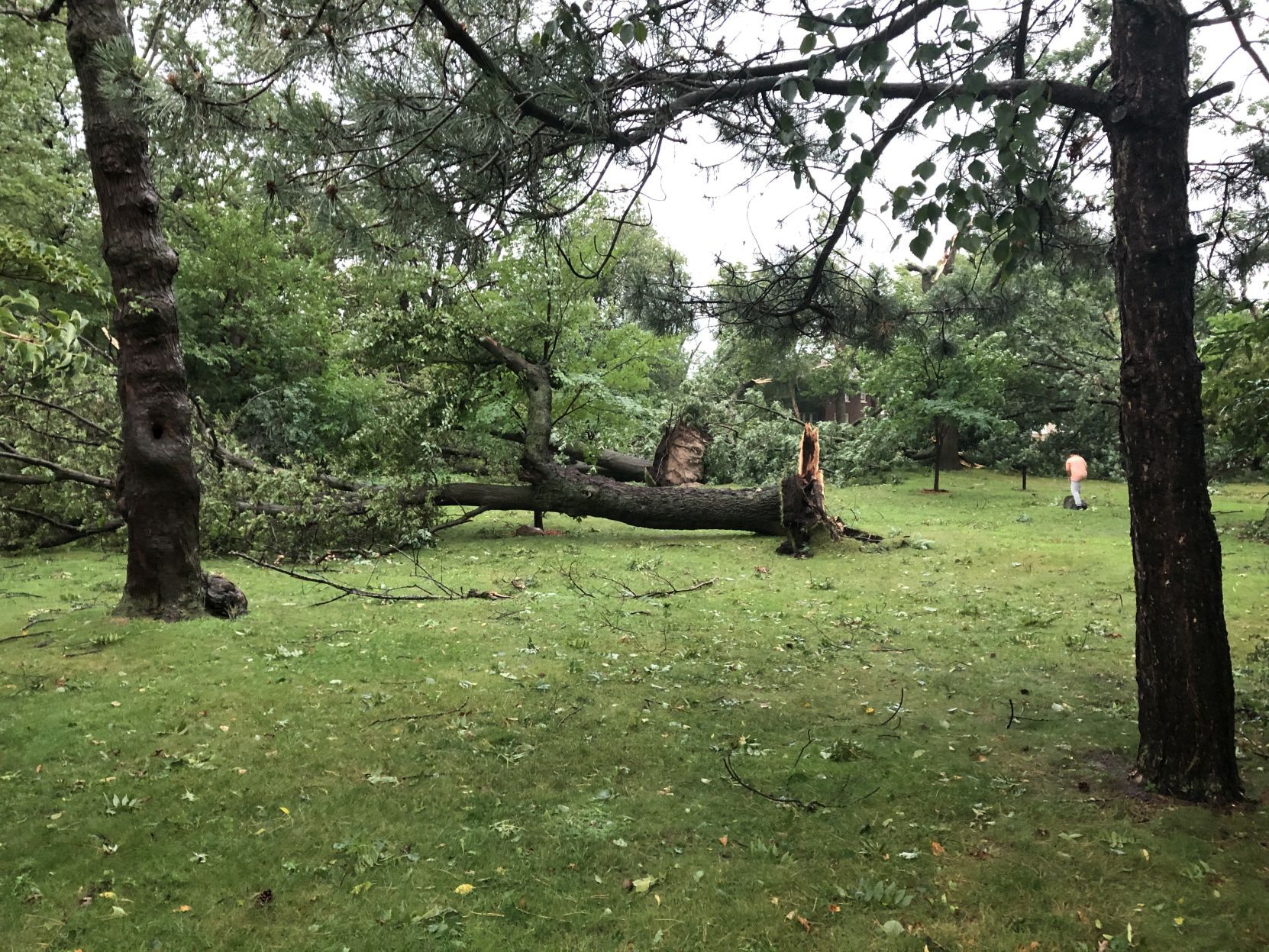 Thousands without power after storm blows through Region